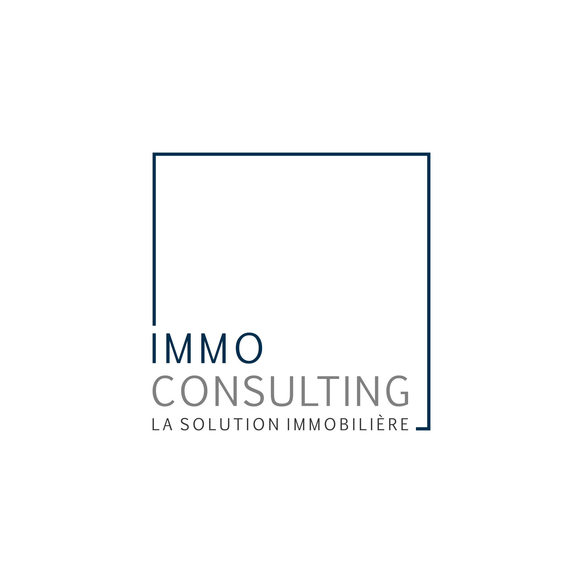 Immo Consulting